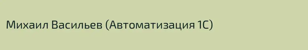 Михаил Васильев (Автоматизация 1С)